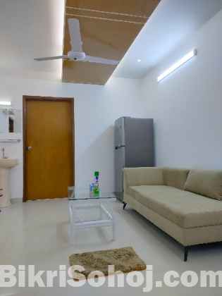 Rent Furnished 2 Bed Room Flat for a Comfortable Stay